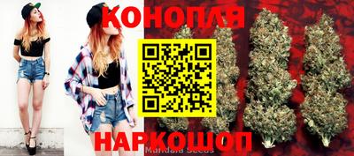 spice Дубна