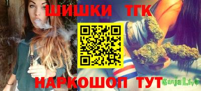 spice Дубна