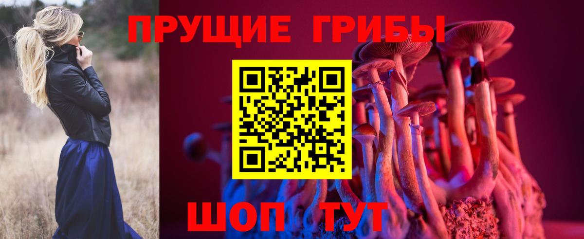 Псилоцибиновые грибы ЛСД Похвистнево